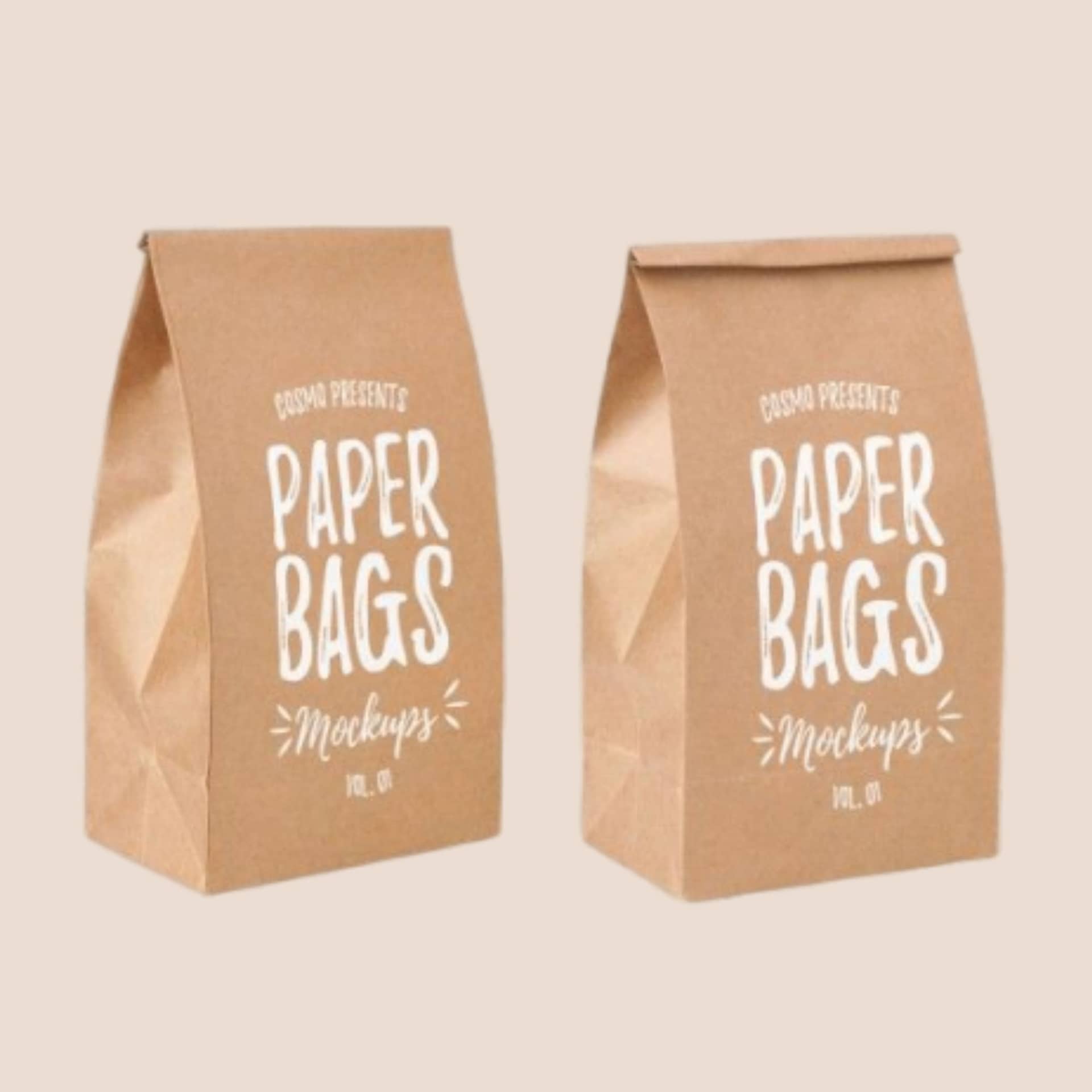 PackSmart two kraft paper bags with a hand-lettered Paper Bags print.